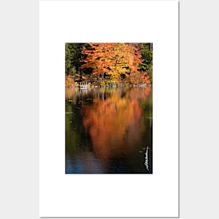 Maple Reflections Posters and Art